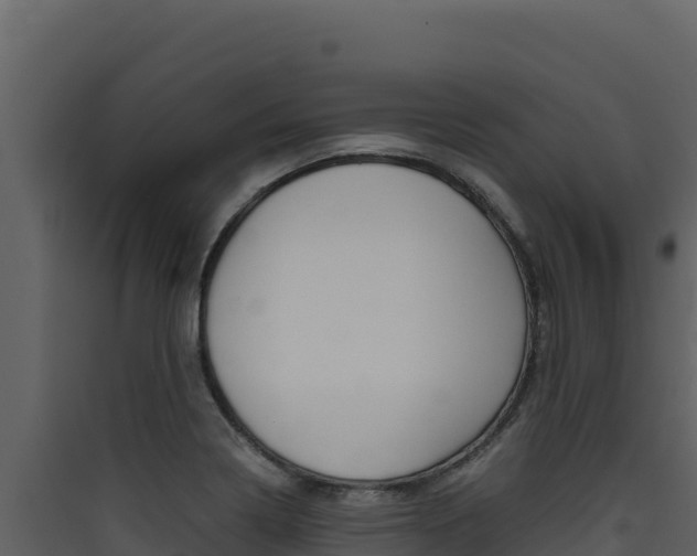 X0000090431322200707130959