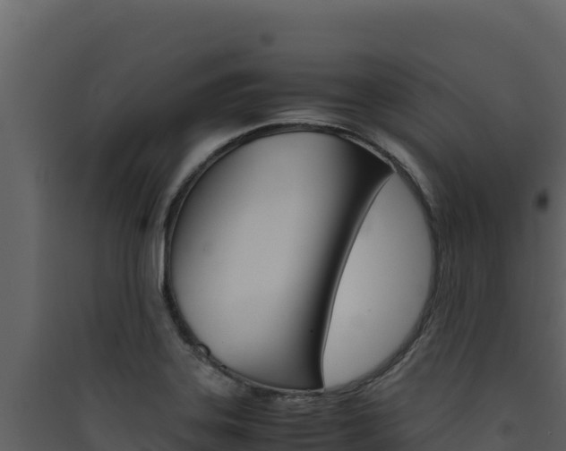 X0000090431323200707130959