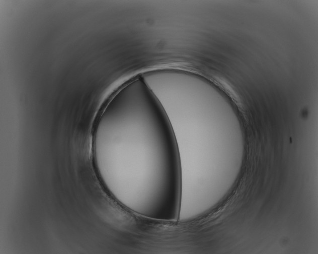 X0000090431324200707130959