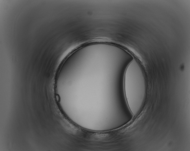 X0000090431325200707130959