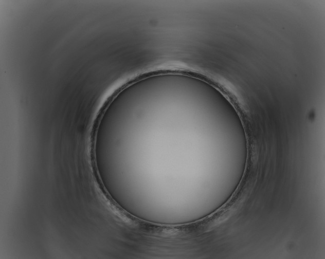 X0000090431326200707131000