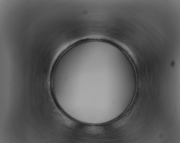 X0000090431327200707131000