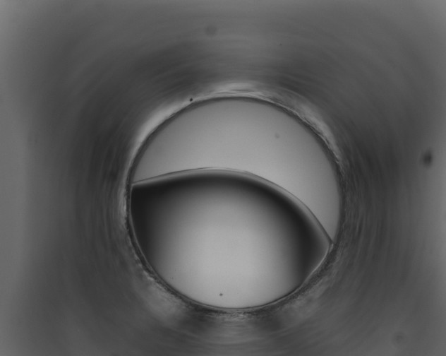 X0000090431328200707131000