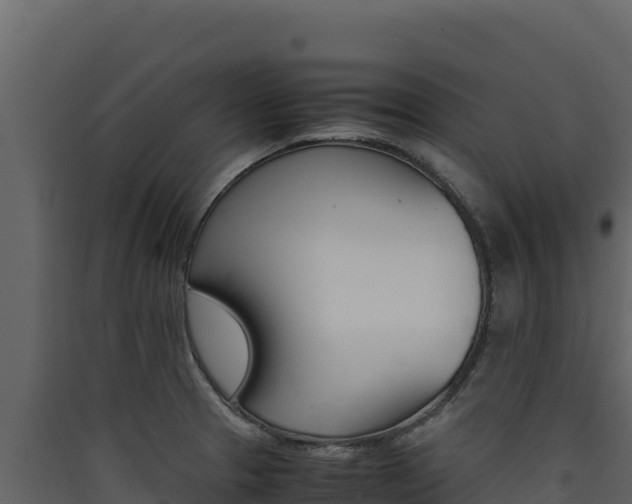 X0000090431329200707131000
