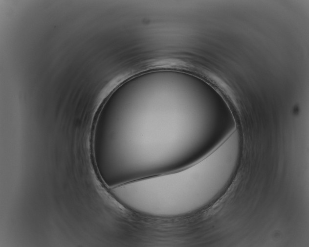 X0000090431330200707131000