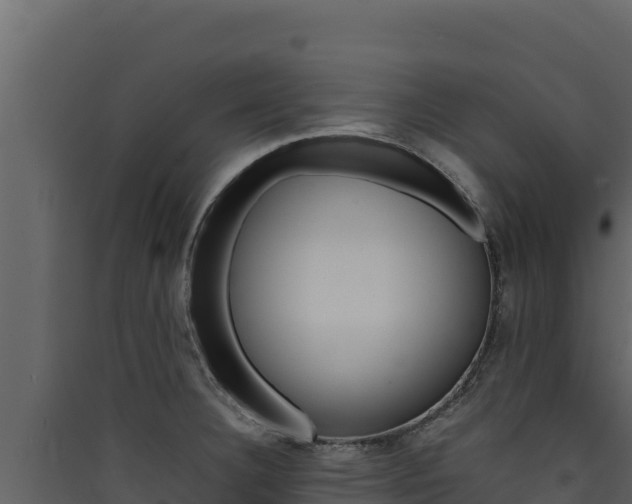 X0000090431332200707131000