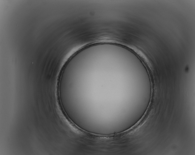X0000090431333200707131000
