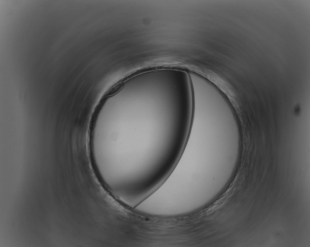 X0000090431334200707131000