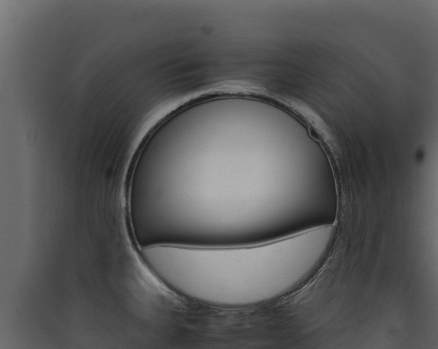 X0000090431335200707131000