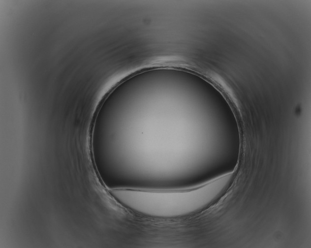 X0000090431336200707131000