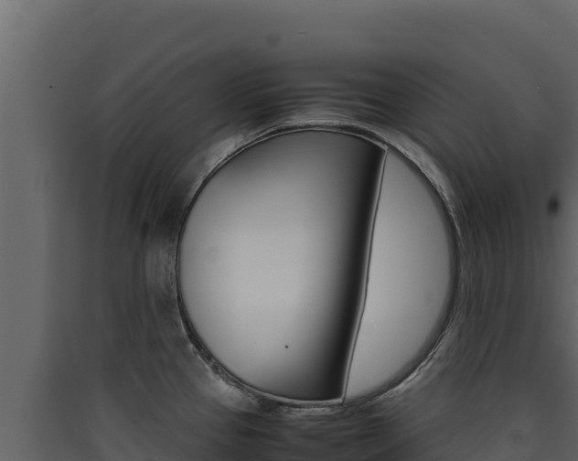 X0000090431337200707131000