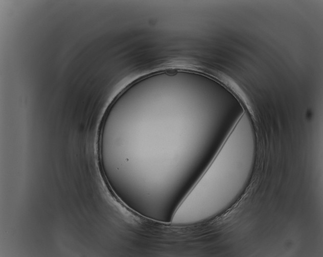 X0000090431339200707131000