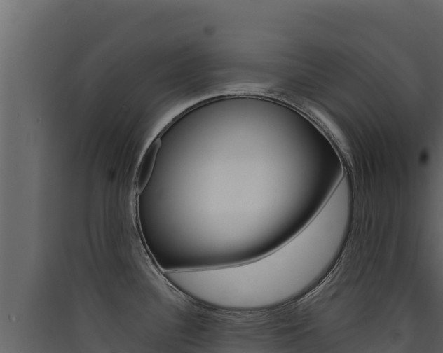 X0000090431340200707131000