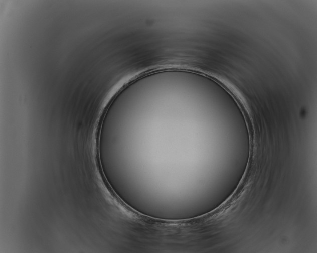 X0000090431341200707131000