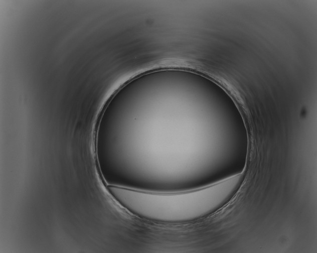 X0000090431342200707131000