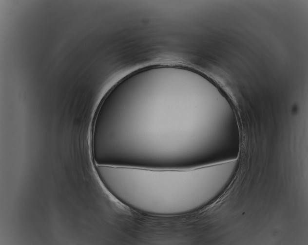 X0000090431343200707131000