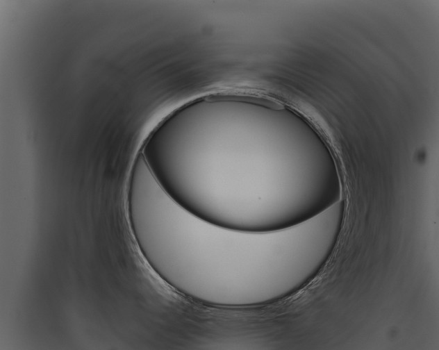 X0000090431344200707131000