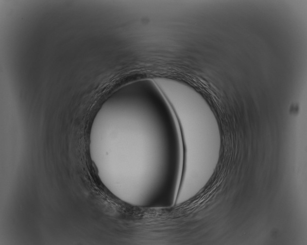 X0000090431345200707130959