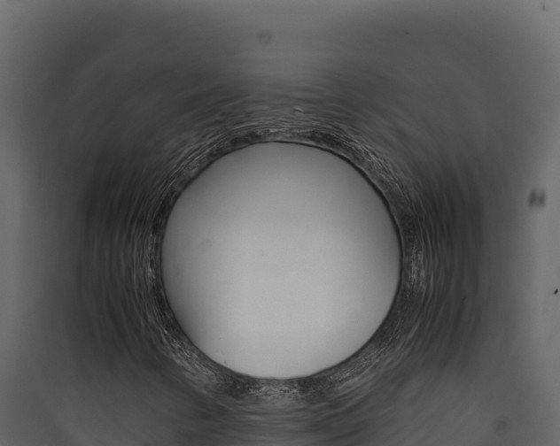 X0000090431346200707130959