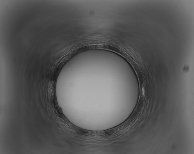 X0000090431347200707130959