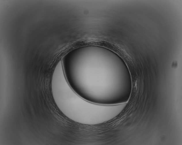 X0000090431348200707130959