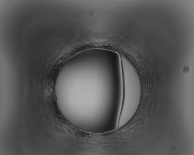 X0000090431349200707130959