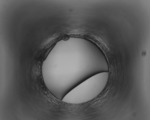 X0000090431350200707130959