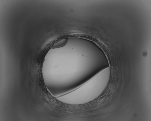 X0000090431351200707130959
