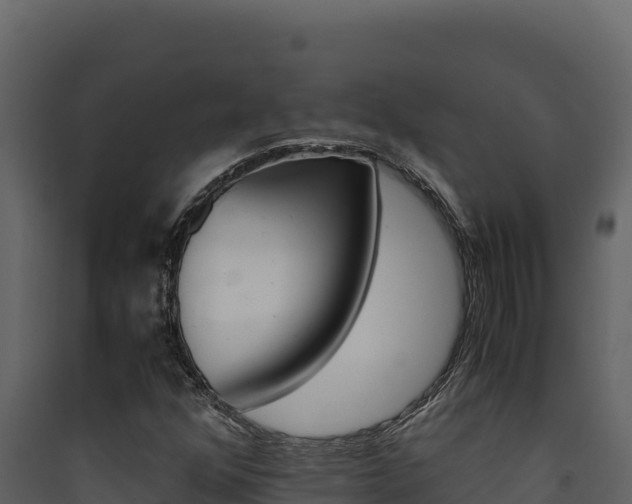 X0000090431352200707130959