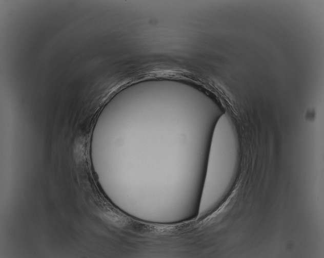 X0000090431353200707130959