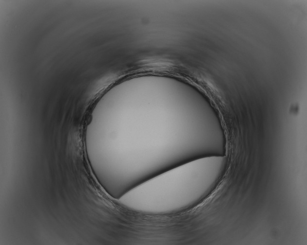 X0000090431354200707130959