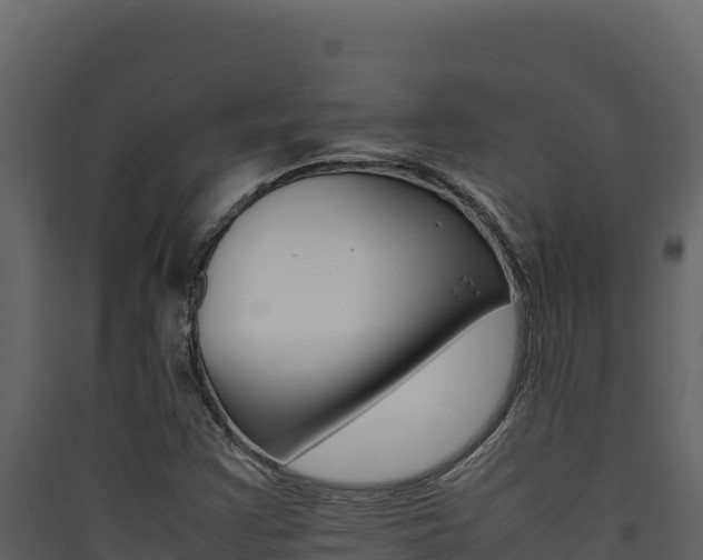 X0000090431355200707130959