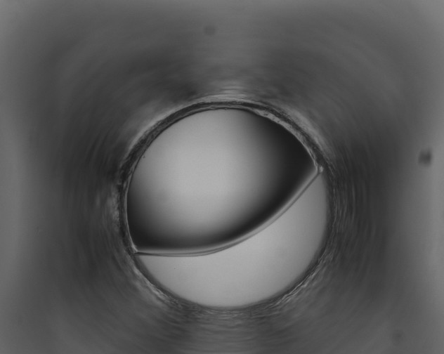 X0000090431356200707130959