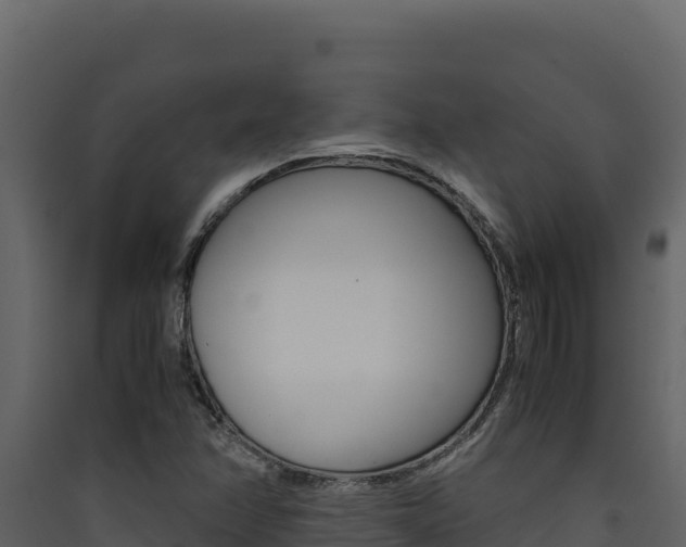 X0000090431358200707130959