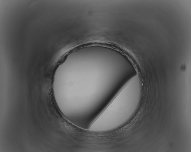 X0000090431359200707130959