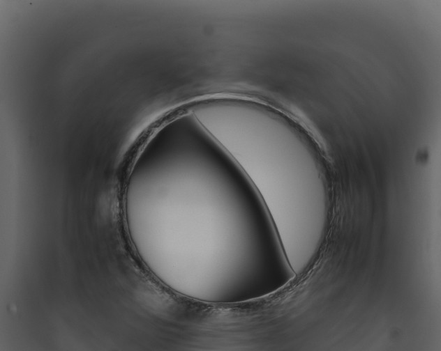 X0000090431360200707130959