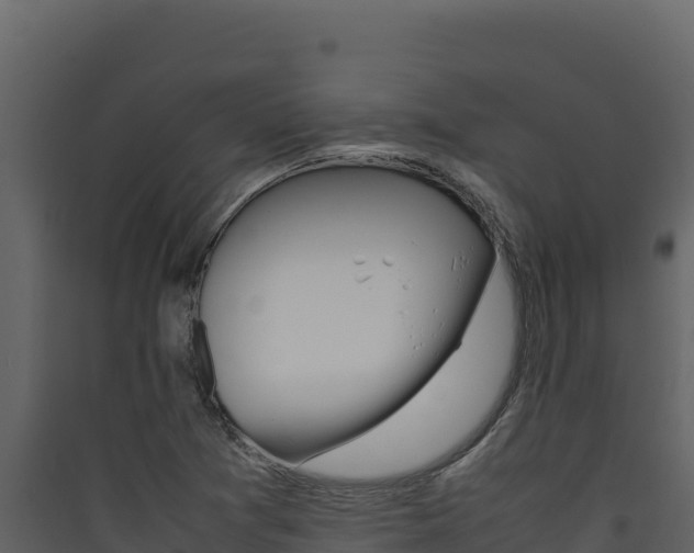 X0000090431361200707130959