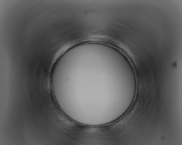 X0000090431362200707130959
