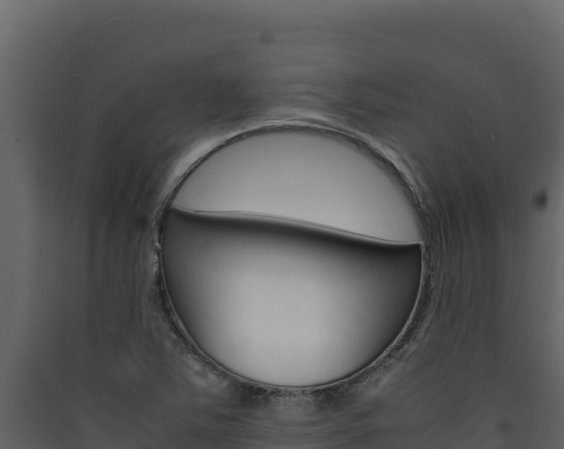 X0000090431363200707130959