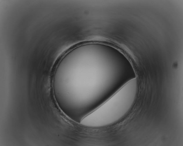 X0000090431364200707130959