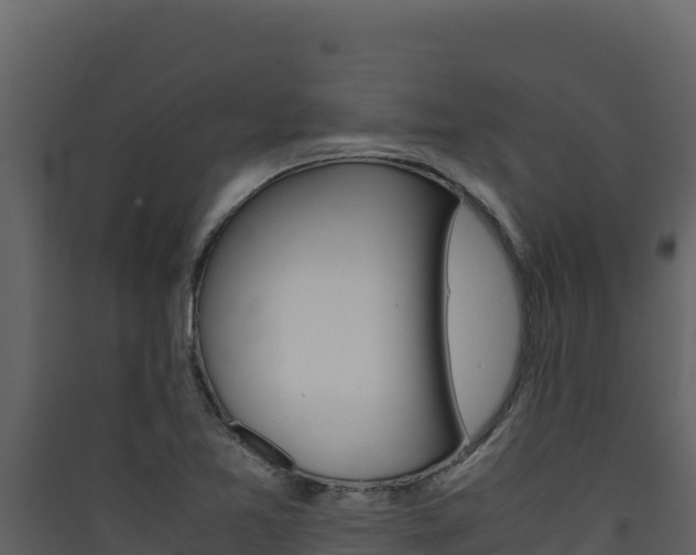 X0000090431365200707130959