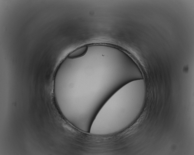 X0000090431366200707130959