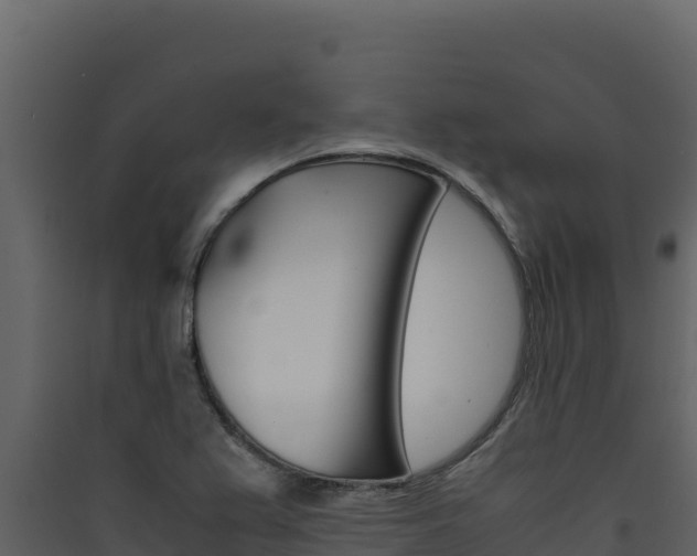 X0000090431367200707130959