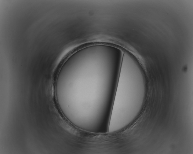 X0000090431368200707130959