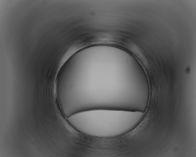 X0000090431370200707130959