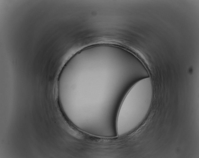 X0000090431371200707130959