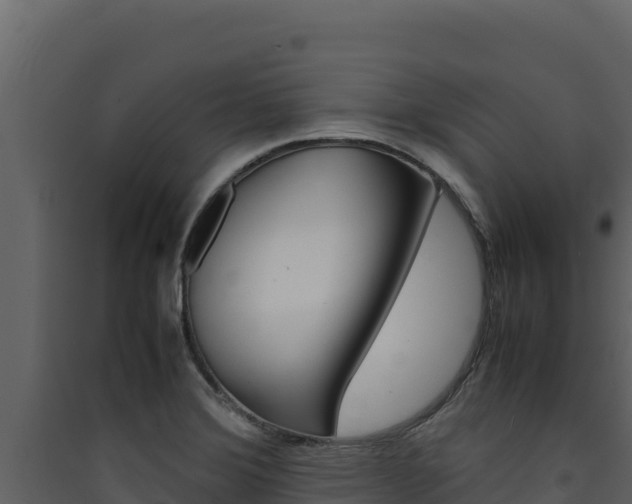 X0000090431372200707130959