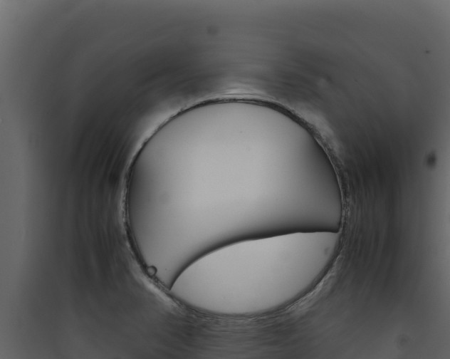 X0000090431374200707130959