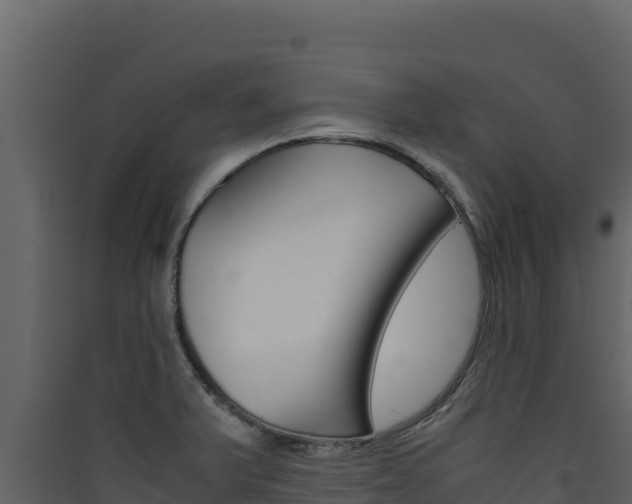 X0000090431375200707130959