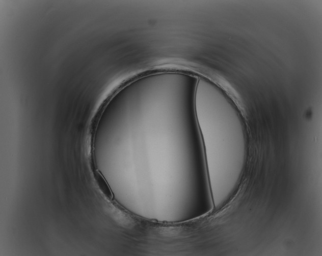 X0000090431376200707130959